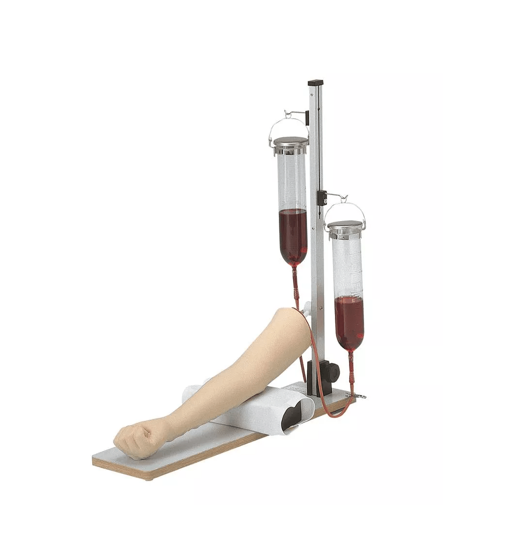 Injektions - Übungsarm - Erler - Zimmer